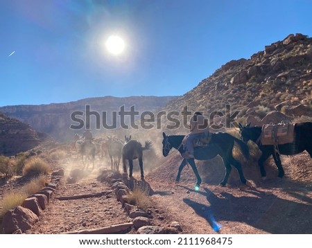 Horseback Riders in the Grand Canyon