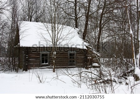Cloudy winter day. The abandoned rural house are covered by snow. Around single trees and wild vegetation.