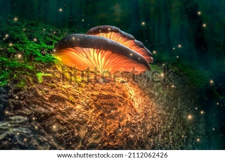Glowing mushrooms on tree trunk with fireflies in forest at dusk. Mushroom lamps in dark forest. 