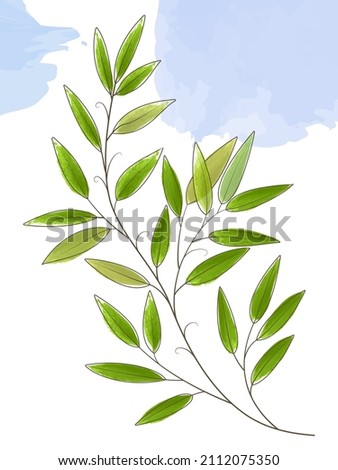 Vector illustration of a branch with green leaves. Watercolor style.