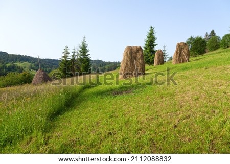 Lush green pasture with haystacks on the mountain slope. Ukraine, Carpathians.