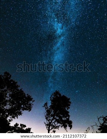 Stars, Via Láctea and trees