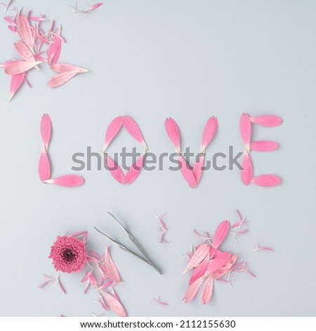 Word LOVE made of petals flowers. Valentine's day flat lay. Nature love concept