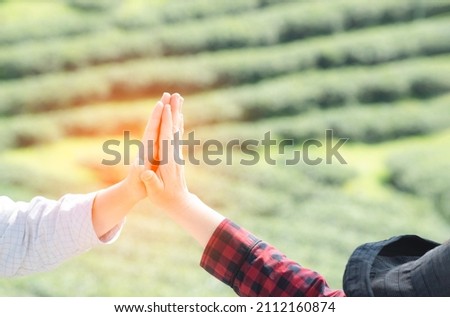 Cheerful successful coworkers colleagues businessman and businesswoman giving high five celebrating project victory in at tea plantation in Chiangmai of Thailand. Business corporate concept. 