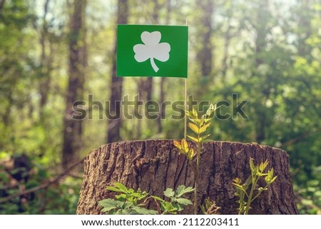 Flag with the image of clover on a stump in the forest