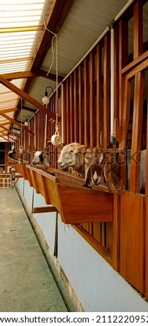 a photo containing a picture of a goat barn at a vacation spot