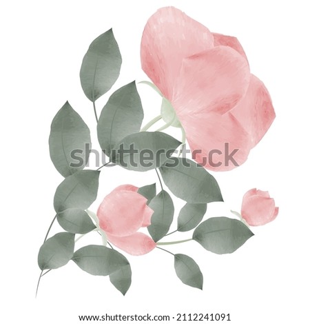 Bouquet with roses and green branches and leaves on a white background. Floral vector with foliage design for printing, textiles, postcards. Watercolor. Vector