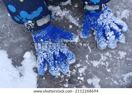 Blue gloves in the snow