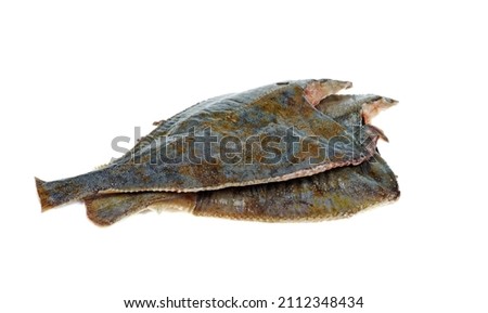 Two ready to cook fresh flatfish on a white background