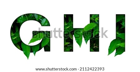 Leaf font G,H,I isolated on white background. Leafs font G,H,I made of Real alive leaves with Previous paper cut shape of font. Leafs font Royalty-Free Stock Photo #2112422393