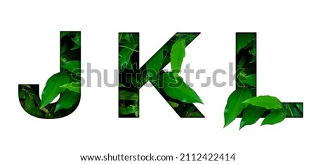 Leaf font J,K,L isolated on white background. Leafs font J,K,L made of Real alive leaves with Previous paper cut shape of font. Leafs font Royalty-Free Stock Photo #2112422414