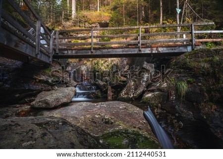 waterfall in the forest. Waterfall in the Bavarian Forest National Park Bavarian Forest.