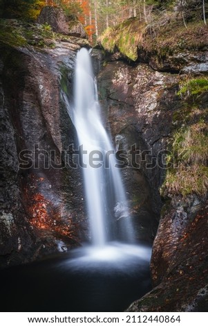 waterfall in the forest. Waterfall in the Bavarian Forest National Park Bavarian Forest.