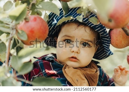 Adorable baby picking up apples and surrounded by leaves . baby wearing a hat in nature. family fun, family activity, apple picking, baby development, love, passion, nature, gardening, garden