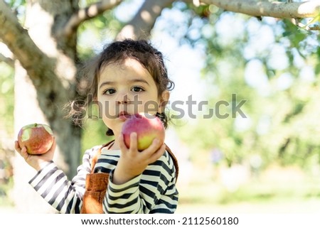 Adorable toddler picking up apples and surrounded by leaves . baby wearing a hat in nature. family fun, family activity, apple picking, baby development, love, passion, nature, gardening, garden