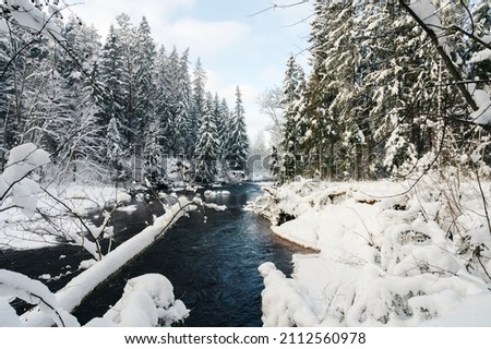 Winter landscape scenery along River Amata trail during snowy winter.