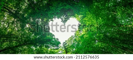 panorama spring forest trees in the center of the heart on Valentine's Day Royalty-Free Stock Photo #2112576635