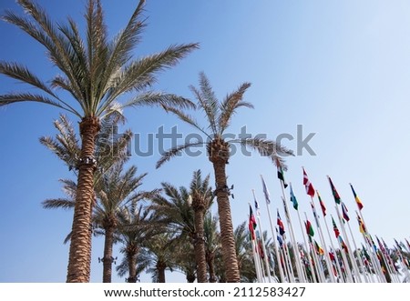 National flags of different countries are fluttering in the wind against the background of palm trees and blue sky.