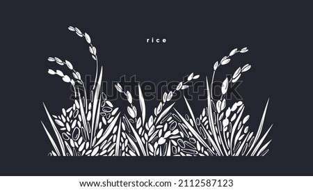 Rice splash. Grain border. Vector paddy field on black background. Graphic ornament, landscape Royalty-Free Stock Photo #2112587123