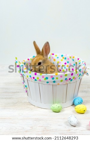 Fluffy red rabbit in a basket and Easter multi-colored eggs on a white table. Easter concept.