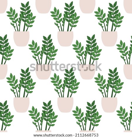 Zamioculcas zamiifolia. Vector seamless pattern of a houseplant in a pot on a white background.