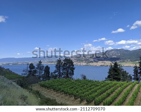 Okanagan Vineyards Against the Valley
