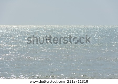 Grey sea background top view. The texture of a serene calm ocean with a passing seagull above it. The concept of peace, relaxation, solitude. Bright sun glare on the water. Natural neutral background