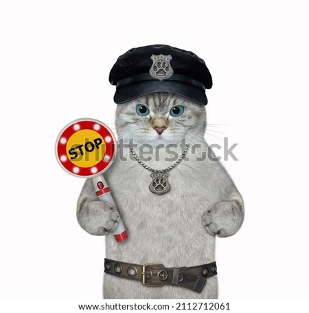 An ashen cat cop in a black hat with a police badge around his neck holds a stop sign. White background. Isolated.