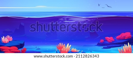 Coral reef ocean or sea underwater background cross view. Bottom with sand and seaweeds grow at rocks under sun beams falling from sky with flying birds. Marine undersea Cartoon vector illustration Royalty-Free Stock Photo #2112826343