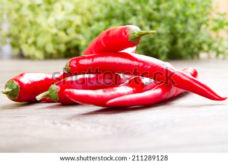 Red chili paprika