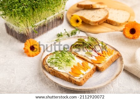 White bread sandwiches with cream cheese, calendula petals and microgreen on gray concrete background and linen textile. side view, close up, selective focus.