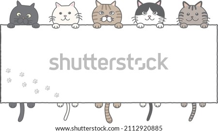 Various cat background frames hanging