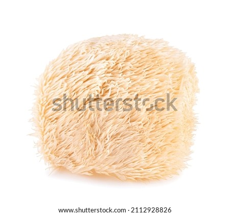 lion mane mushroom isolated on white background. Royalty-Free Stock Photo #2112928826