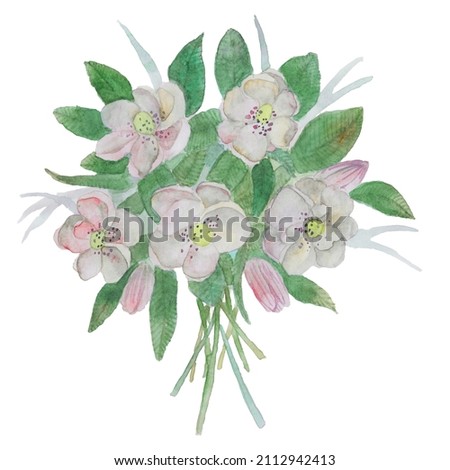Gentle watercolor flowers bouquet, white cute spring flowers, pink delicate petals, a romantic gift