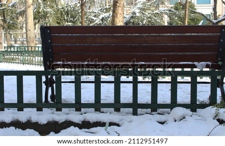 photo of the empty bench and snow on the untouched tree branches in the white snow cover