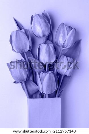 Creative composition of a bouquet of tulips in paper packaging. Very Peri or purple abstract background. Women's Day, Valentine's Day. Greeting card. Copy space.