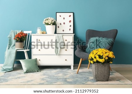 Pots with beautiful Chrysanthemum flowers and stylish chest of drawers in room