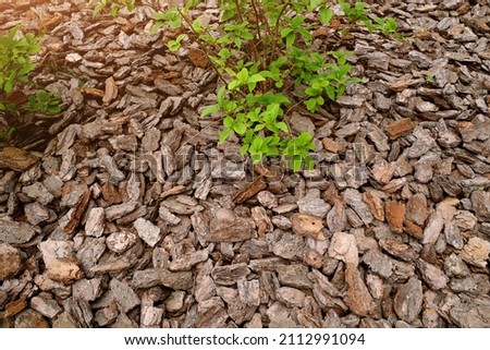 Mulch made of pine and other bark used in horticulture as fertilizer and for decoration under trees and bushes. Mulching in landscape design Royalty-Free Stock Photo #2112991094