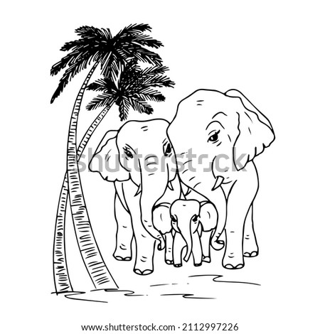 ELEPHANTS.Black and white linear illustration depicting elephants, moms,dads,cubs with twigs and flowers under a palm tree,coloring book for children and adults,line art wall art,posters,shaft art,sta