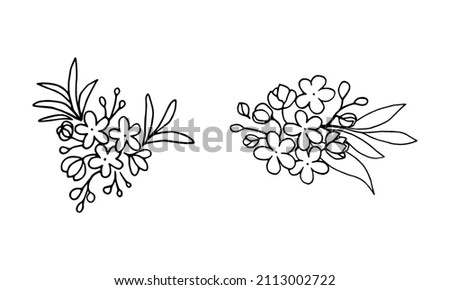 A set of flowering branches of an ornamental shrub with small white flowers of spirea, freehand drawing with a liner.