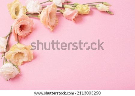 spring beautiful flowers on pink background