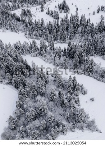 Aerial view above Carpathian mountains. Snowy forest background.