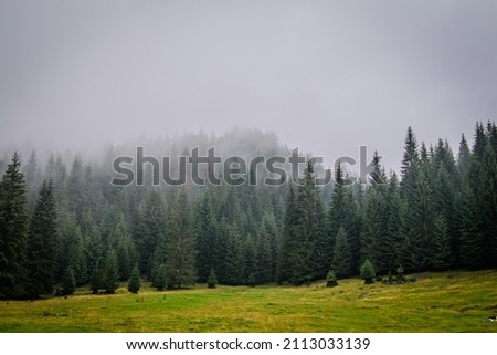 Stunning view in the Transylvanian mountains