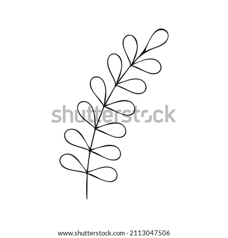 Branch with leaves. Floral sign decoration book text. Field herbs. Linear sketch of a garden plant. Hand drawn vector illustration in doodle style. Elegant isolated element.