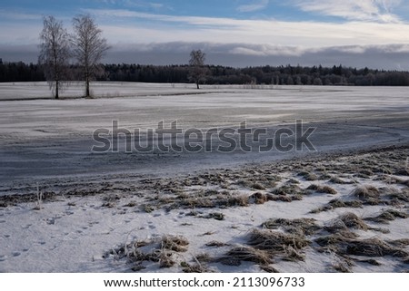 Frosty winter afternoon in the countryside of Latvia