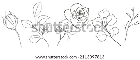 A set drawn in one line with flowers, buds and leaves on the branches. One line. Contour drawing of roses and foliage isolated on a white background. Vector design