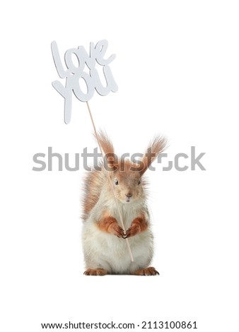 squirrel in its paws holds the inscription I love you isolated on a white background