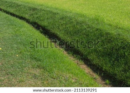 a pit for removing moisture from the lawn of the park, on the lawn - drainage for heavy rain is made in the form of a long and deep trench