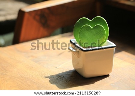 heart shaped potted plant on the desk Royalty-Free Stock Photo #2113150289