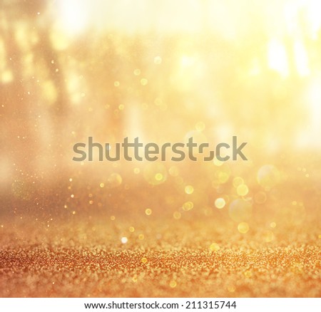 abstract photo of light burst among trees and glitter bokeh. image is blurred